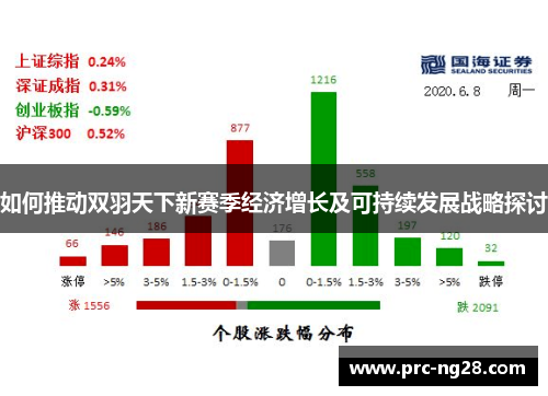 如何推动双羽天下新赛季经济增长及可持续发展战略探讨
