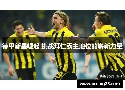 德甲新星崛起 挑战拜仁霸主地位的崭新力量 德甲新星崛起 挑战拜仁霸主地位的崭新力量