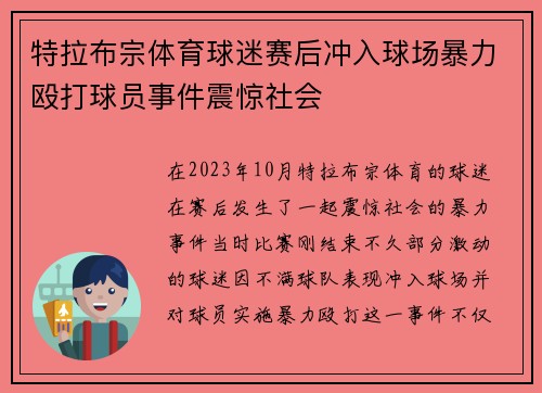 特拉布宗体育球迷赛后冲入球场暴力殴打球员事件震惊社会 特拉布宗体育球迷赛后冲入球场暴力殴打球员事件震惊社会