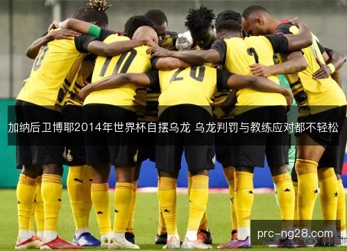 加纳后卫博耶2014年世界杯自摆乌龙 乌龙判罚与教练应对都不轻松